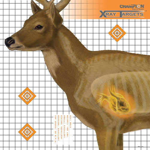 CHAMPION DEER X-RAY TARGET 6/PK - for sale