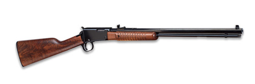 Henry Repeating Arms - Henry Pump - .22LR for sale